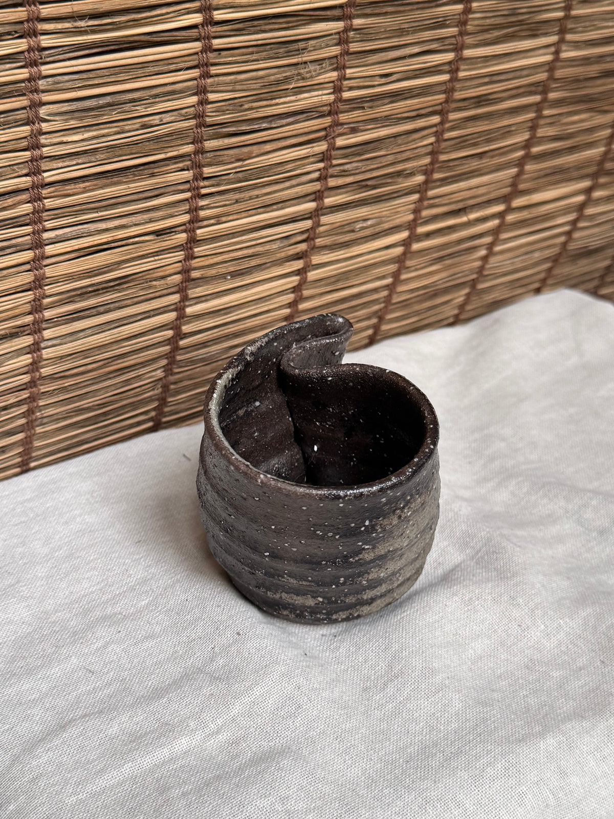 Shigaraki-Yaki Wood-Fired Yunomi Cup, Wave-Cut Rim, Natural Ash Glaze