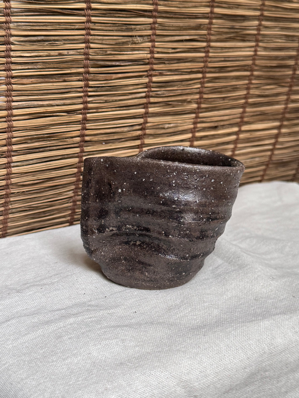 Shigaraki-Yaki Wood-Fired Yunomi Cup, Wave-Cut Rim, Natural Ash Glaze