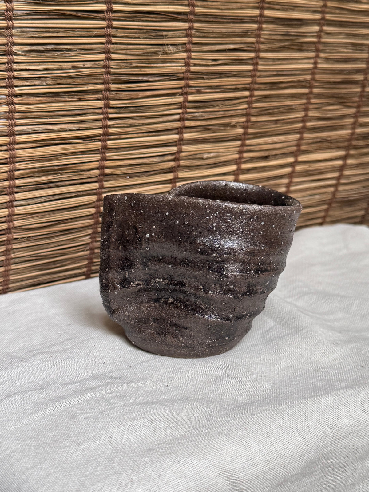 Shigaraki-Yaki Wood-Fired Yunomi Cup, Wave-Cut Rim, Natural Ash Glaze