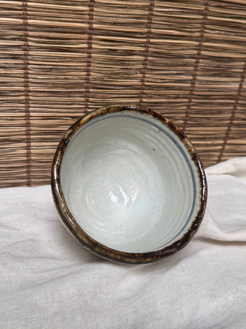 Mino-Karatsu Teacup — Painted Foliage Motif, Iron-Brown Dripped Rim