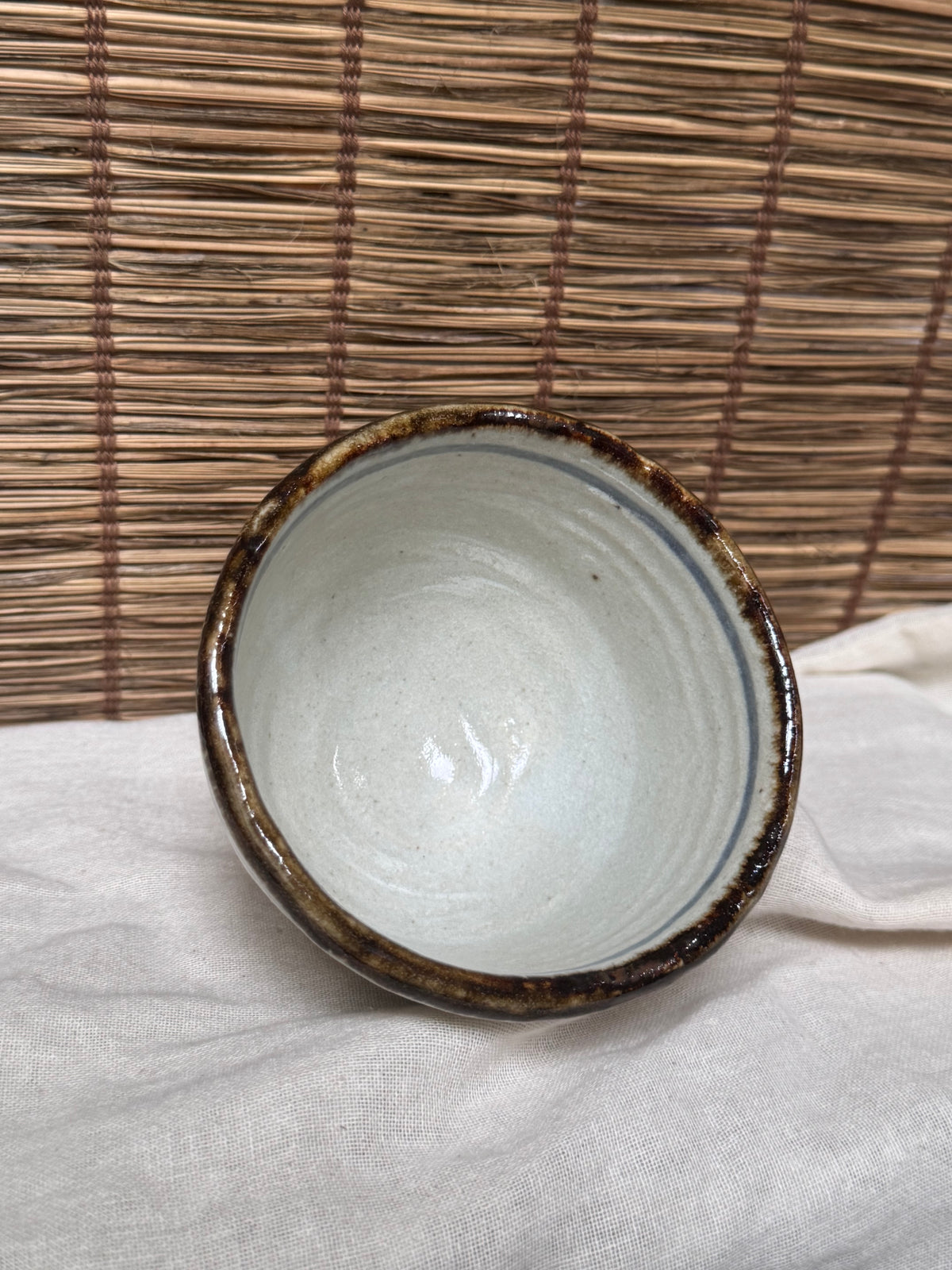 Mino-Karatsu Teacup — Painted Foliage Motif, Iron-Brown Dripped Rim